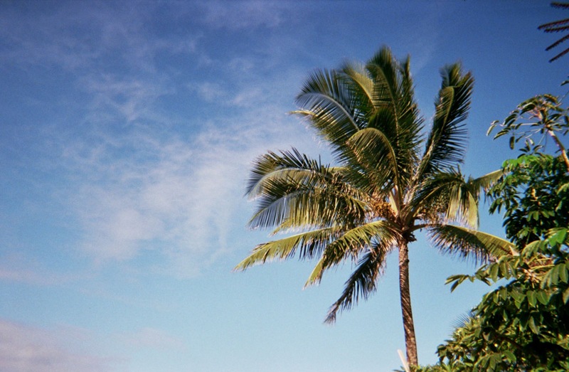 50 Perspectives On America Ua Mau Ke Ea O Ka Aina I Ka Pono